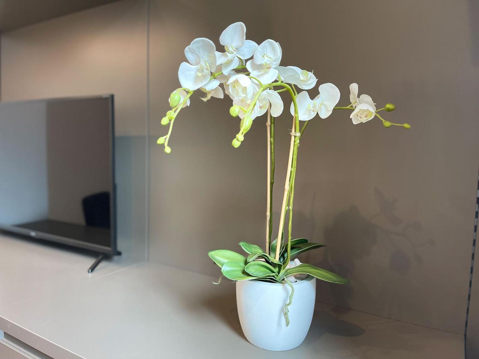 Clavis Luxury Apartments Киавена Екстериор снимка